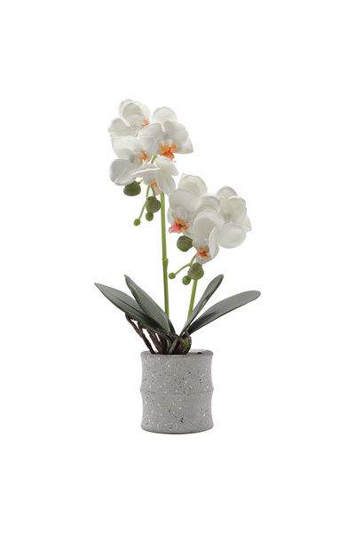 Naimeed Company Orhidee decorativă în ghiveci ceramic, 35 cm, Naimeed D4849, Alb
