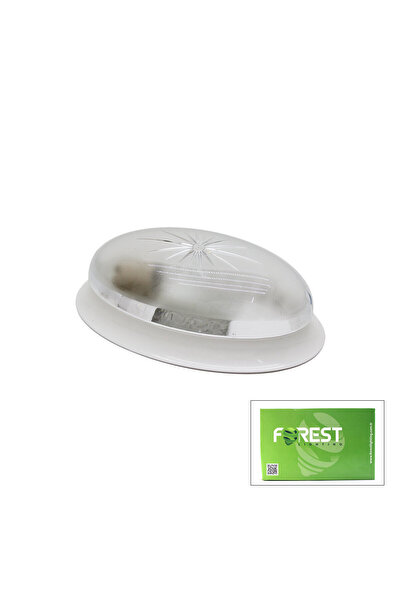 Greathings FOREST ( BADEM APLİK ) ( DUVAR ) GLOP KAFESİ