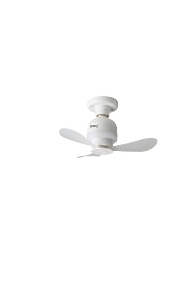 Floria Ventilator de tavan LED ZLN4581 cu iluminare, diametru 15,2 cm, 3 pale...