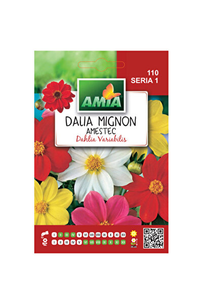 Amia Seminte de flori Dalhia mignon amestec culori 0,5 g