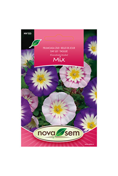 Novasem Seminte de flori frumoasa zilei Novasem, 1 g