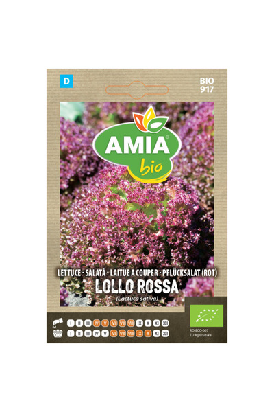 Amia Seminte bio de salata Lollo Rossa Amia, 0,7 g