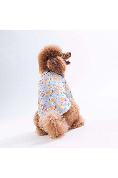 Pawstar قميص أكوا ريفيري للقطط والكلاب - ملابس للقطط والكلاب - قميص للقطط - ق...