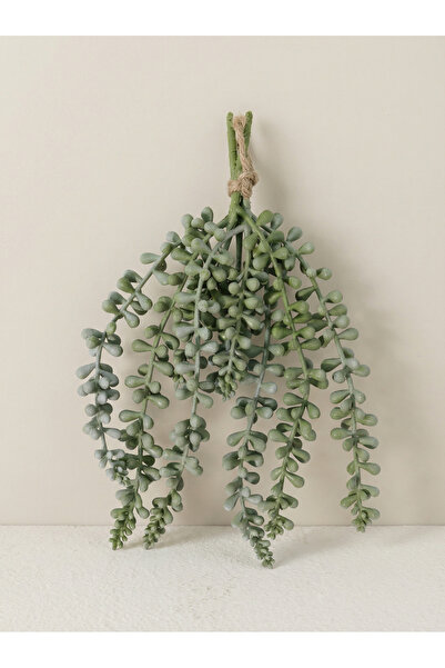 Highpoint High Point Tree in a Stylish Green Arrangement Suitable for Living ...