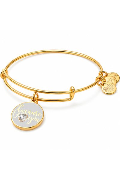 Alex and Ani Bratara Metal A17EBBILUSG