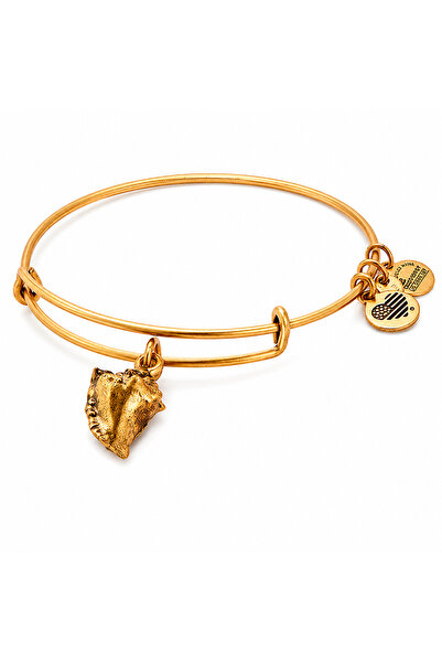 Alex and Ani Bratara Metal A17EB73RG