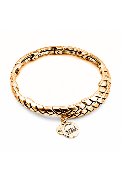 Alex and Ani Bratara Metal V16W03RG