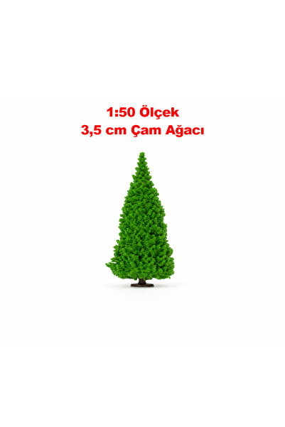 Friday Home 6 Adet Minyatür Çam Ağacı - Teraryum İçin 3.5 cm 1:50 Ölçek Maket