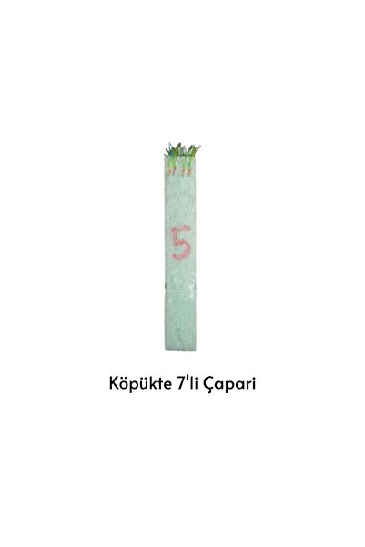 Köpükte 7 li İstarvit Çaparisi
