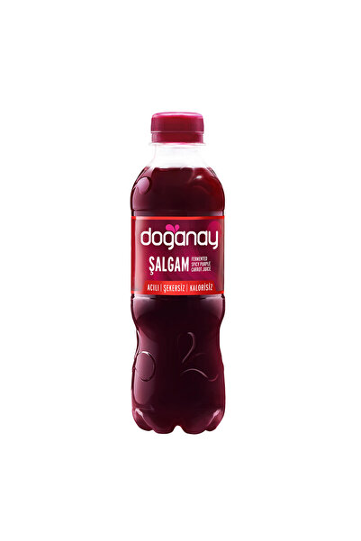 DOĞANYILDIZ Salgam iute 300ml x 24 sticle PET