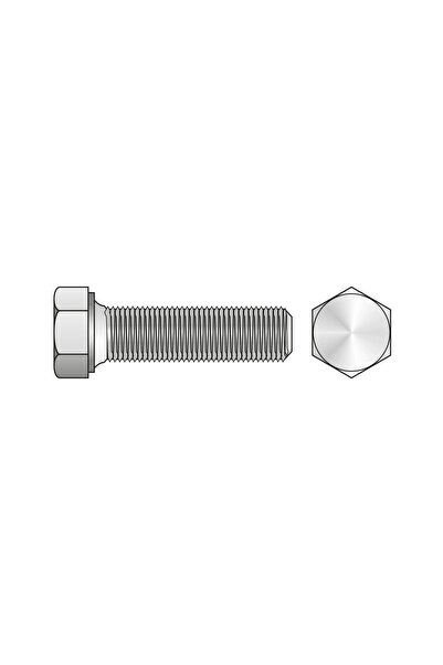 SCHAEFER Surub Cap Hexagonal Total Filetat 933 Inox A4-M16 X 120