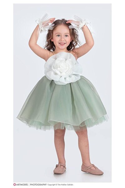 aykidsclup Girl's Floral Detailed Tulle Evening Dress - Princess Dress 1681-Y
