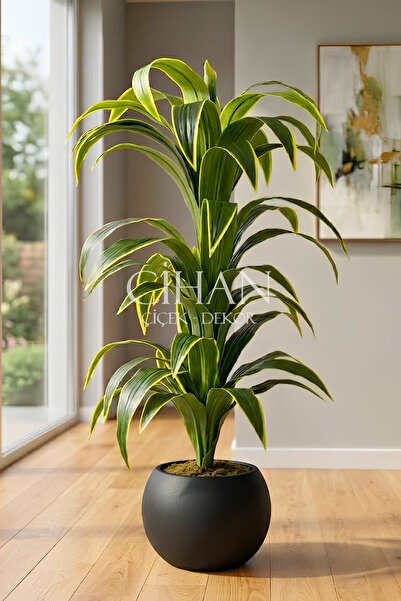 Cihan Çiçekçilik Küre Saksılı Yapay 150 cm Dracaena Fragrans Ağacı