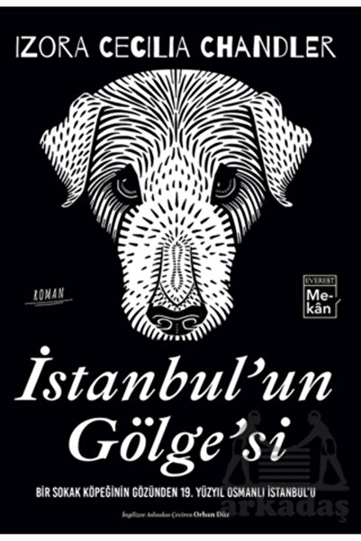 Everest Yayınları Shadow of Istanbul