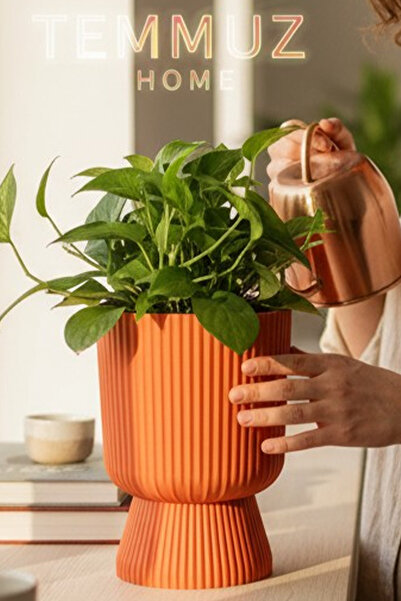 TEMMUZ HOME Lotus 1 Adet 1.8 Litre Ayaklı Saksı - 19.5 cm X 14 cm Çiçek ve Bi...