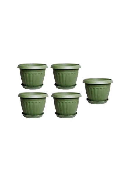 Ch Five Circular Agricultural Basins Measuring 20 cm with the Rim