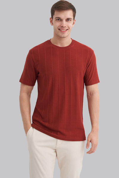 Cazador Pablo Erkek Çizgi Dokulu Premium Regular Fit Bisiklet Yaka T-Shirt 4203