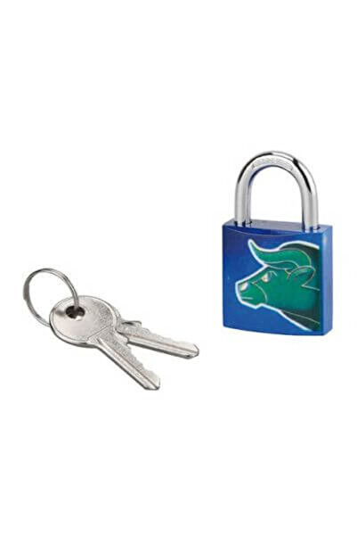 THIRARD Key padlock, ASTROLOCK, 30 mm (Taurus),