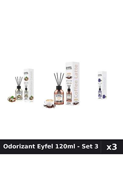 Eyfel Set 3 Odorizante Camera cu Betisoare 120ml - Cafea, Nucă de Cocos, Zambile