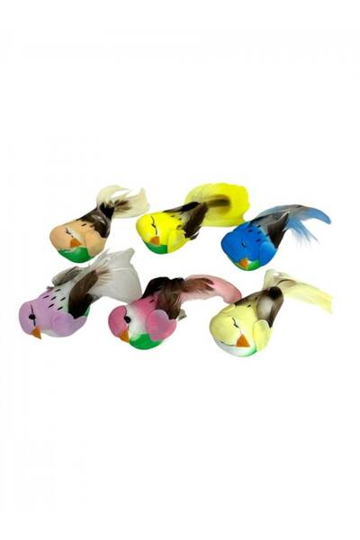 OEM Pasari Decorative Din Pene Cu Clips12/Set
