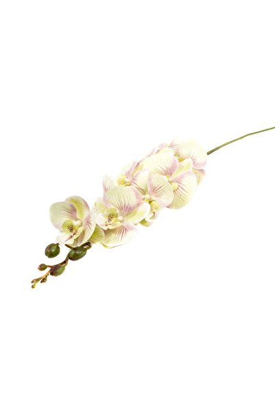 OEM Flori Artificiale Orhidee Verde Deschis Cu Roz 9/Fir