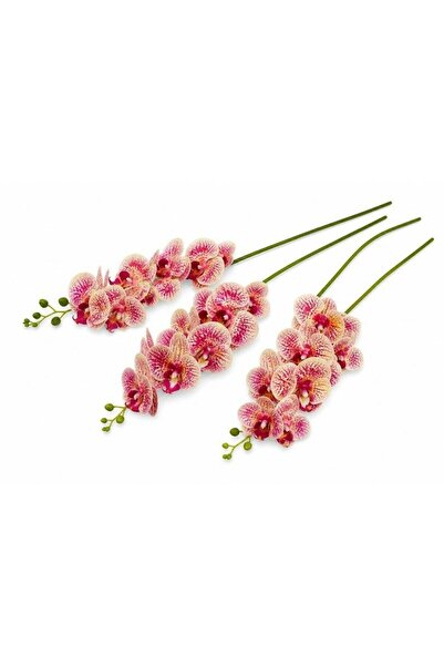 OEM Orhidee artificiala 9 flori 90 Lila-Verde