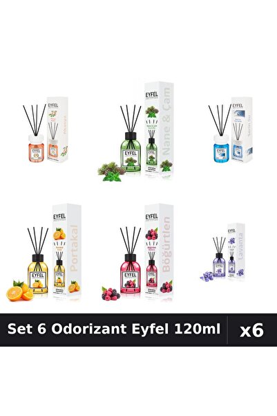 Eyfel Top Bottom Set of 6 Room Air Freshener Sticks, Acacia, Cool Water, Berr...