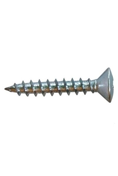 Rocast Set 1000 x Surub Pal Cap Semibombat Otel Zincat-4.0 X 30pz2