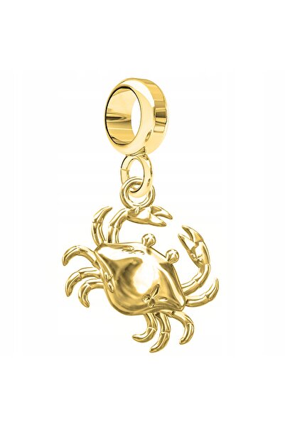 Larezo Pandantiv Tip Charm Pentru Bratari Modulare, Argint 925 Placat Cu Aur ...