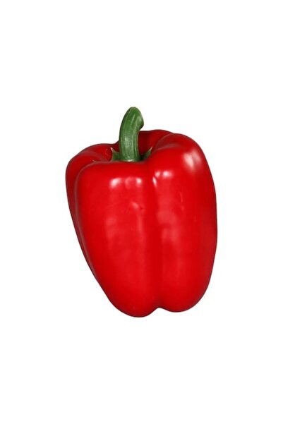 OEM Decorative Vegetables, Red Bell Pepper, 5-10 cm