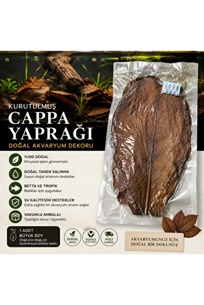 Akvaryum Kurutulmuş Catappa (Hint Bademi) Yaprağı – Doğal 3 Adet