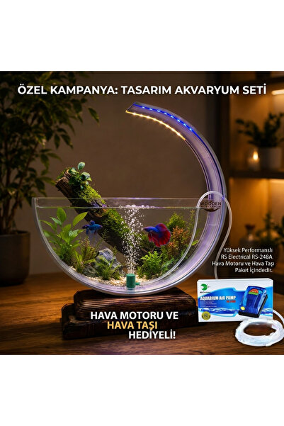 Berliva Home Wooden Aquarium Ahşap Tabanlı Hilal Akvaryum - LED Işıklı Özel T...