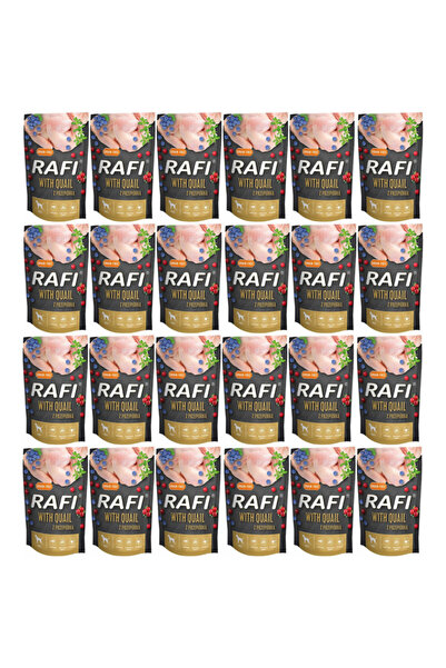 Rafi Dolina Noteci hrană umedă pentru câini prepelită afine merișoare 24 x 500g
