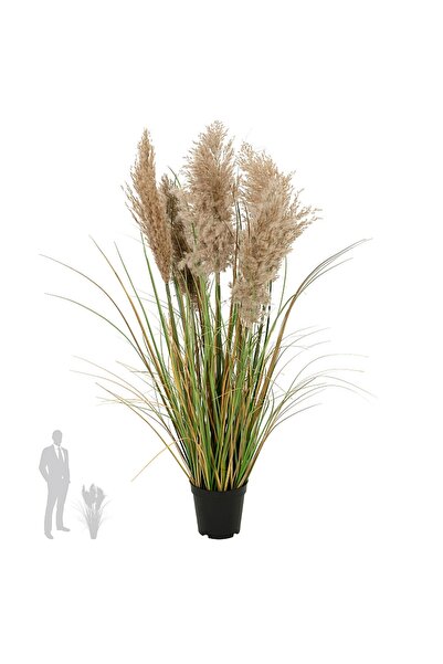 Roberto Rossi Iarba artificiala Onion 90 cm cu 5 flori naturale de pampas bej...