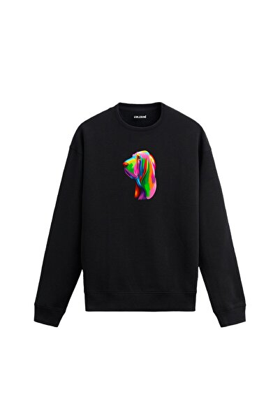 Colermi Colorful Bloodhound Printed Sweatshirt