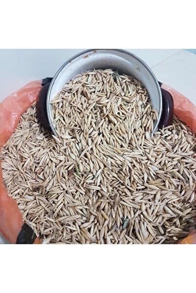 GERÇEK TARIM NATUREL YULAF TOHUMLUK&YEMLİK 25KG