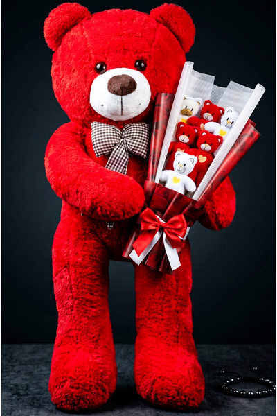 lenostra 90cm Red Big Plush Teddy Bear with Heart Teddy Bear Bouquet Birthday...
