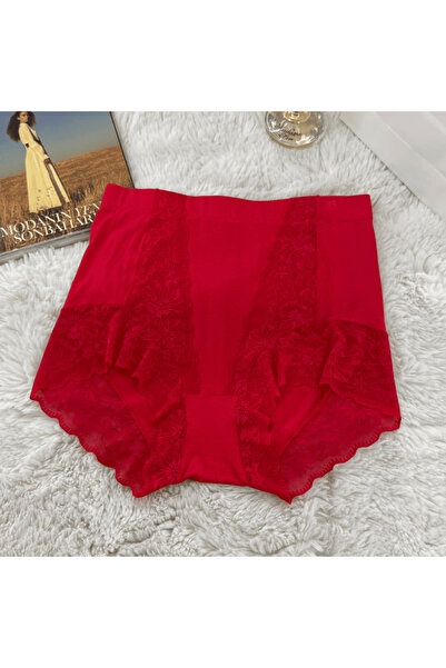 Elaram Women's High Waist Lace Plus Size Panties