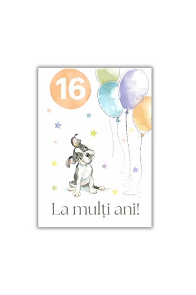 OEM Felicitare 13x18 cm cu plic, aniversare 16 ani