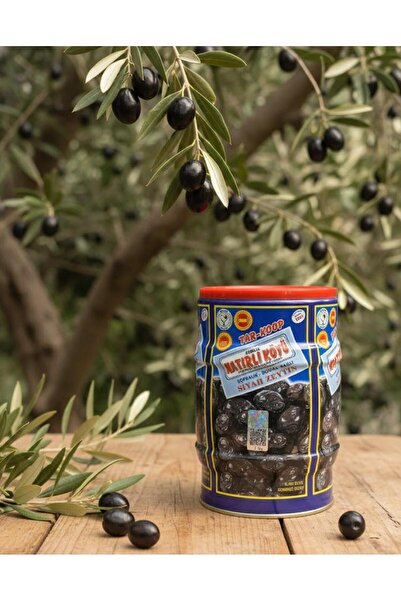 Gemlik Katırlı Köyü Katırlı köyü organik zeytin 1 kg