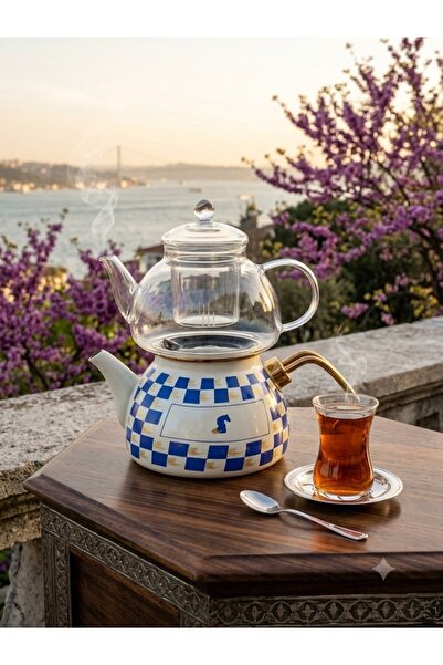 GFSMORE Enameled Glass Teapot White Blue Square