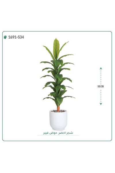 OEMS شجرة ورق أخضر وسط بحوض فيبر اسطوانى