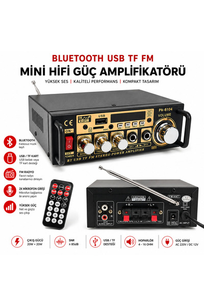 Poke Mini Dev Anfi 400W 12v 220v Bluetooth Usb Sd Fm Radio PK-6104