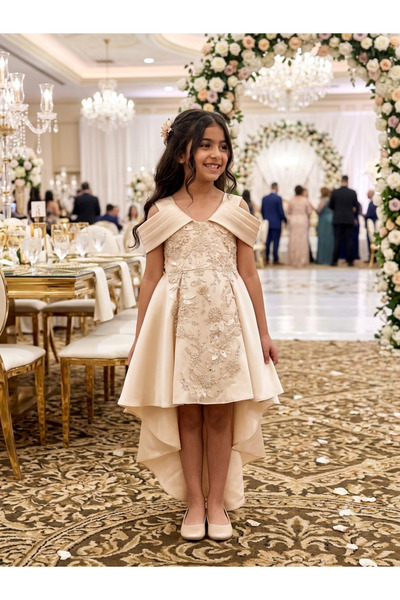 Rima Fashion Luxury Classic Style Girls' Embroidered 3D Applique Occasion Dress