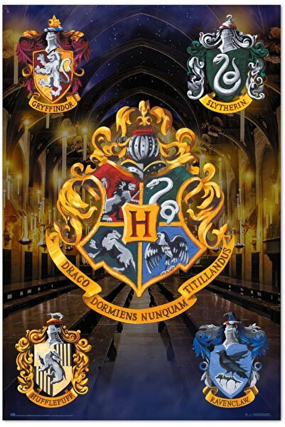 ESSESORIES Harry Potter Movie Poster Wall Art Room Decor Self Adhesive