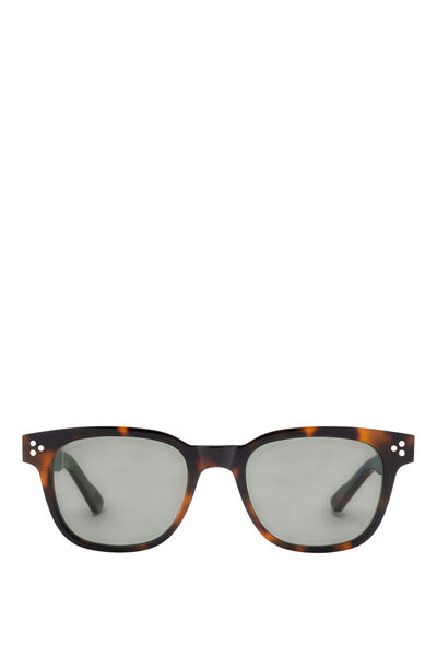 Snob Milano Sna1012 Brown Acetate Unisex Sunglasses