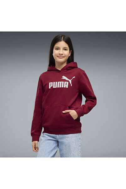 Puma ESS No. 1 Logo Fleecová mikina s kapucí Youth