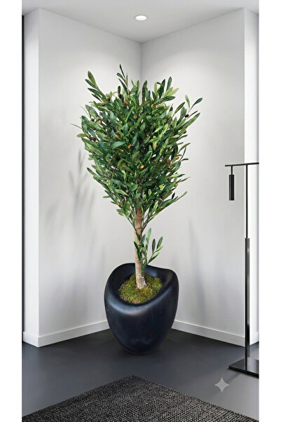 İremÇiçekçilik Zeytin agaci 160 cm
