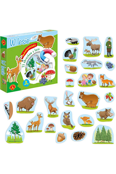 Alexander Toys Jucărie magnetică de construcție pentru copii de 3+ ani