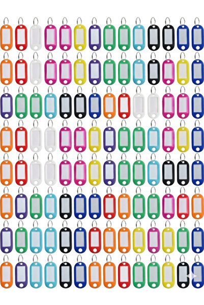 FWM 100 Pcs Multi-Color Plastic Key Tags with Split Ring and Label Window, As...
